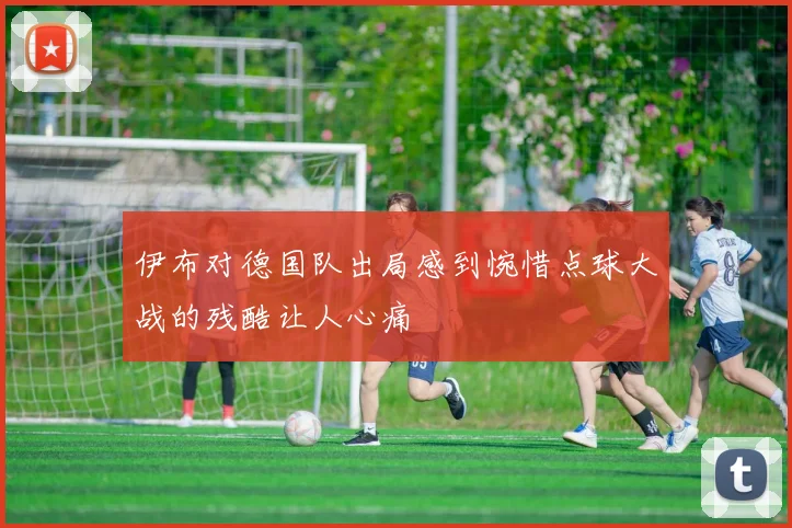 伊布对德国队出局感到惋惜点球大战的残酷让人心痛